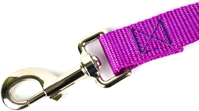 Country Brook Petz - Everyday Nylon Dog Collar and Leash - 10+ Cool Colors (1 Inch, Large, Bright Purple)
