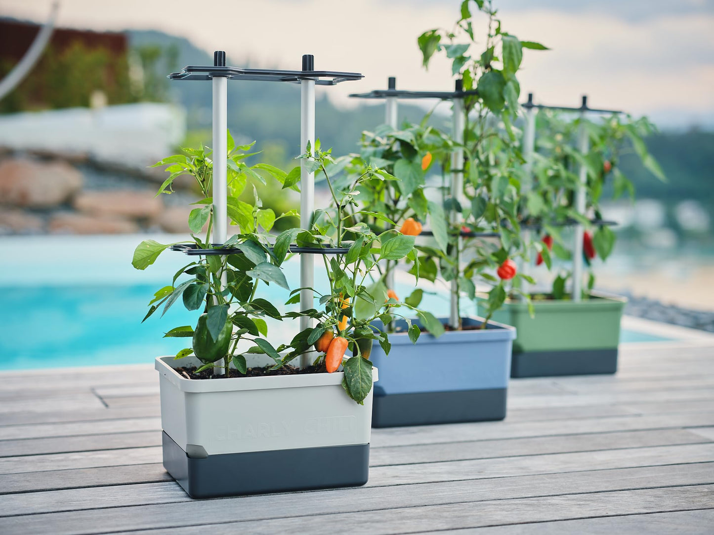 BUZZY Seeds Charly Chili Self-Watering Planter with Vertical Trellis – 1.2 Gal Reservoir, Large Capacity Planter for Chili Peppers, Bell Peppers & Eggplants (Green)