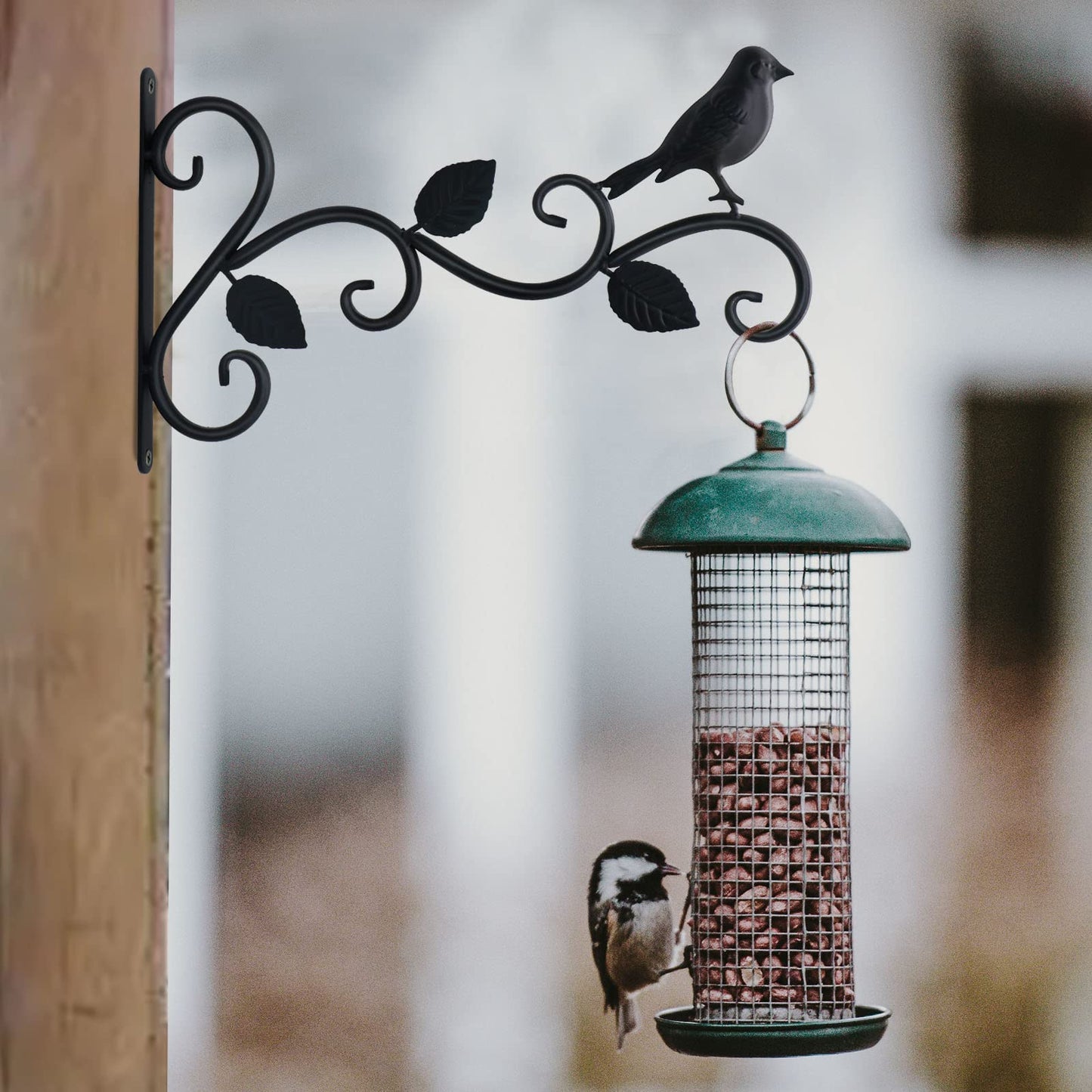 JIALAI HOME Hanging Plants Bracket 12" Bird Planter Outdoor Hooks Hangers for Flower Baskets Pot Bird Feeder Wind Chimes Lanterns Patio Garden Outdoor Indoor Metal Black, 2 Pack
