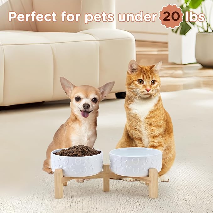 SPUNKYJUNKY Elevated Dog Bowls Ceramic, 5.1'' Dogs and Cat Food Water Bowls Raised with Non-Slip Bamboo Stand for Puppy Small Sized Breed Microwave Dishwasher Safe - 13.5 OZ,Skull White