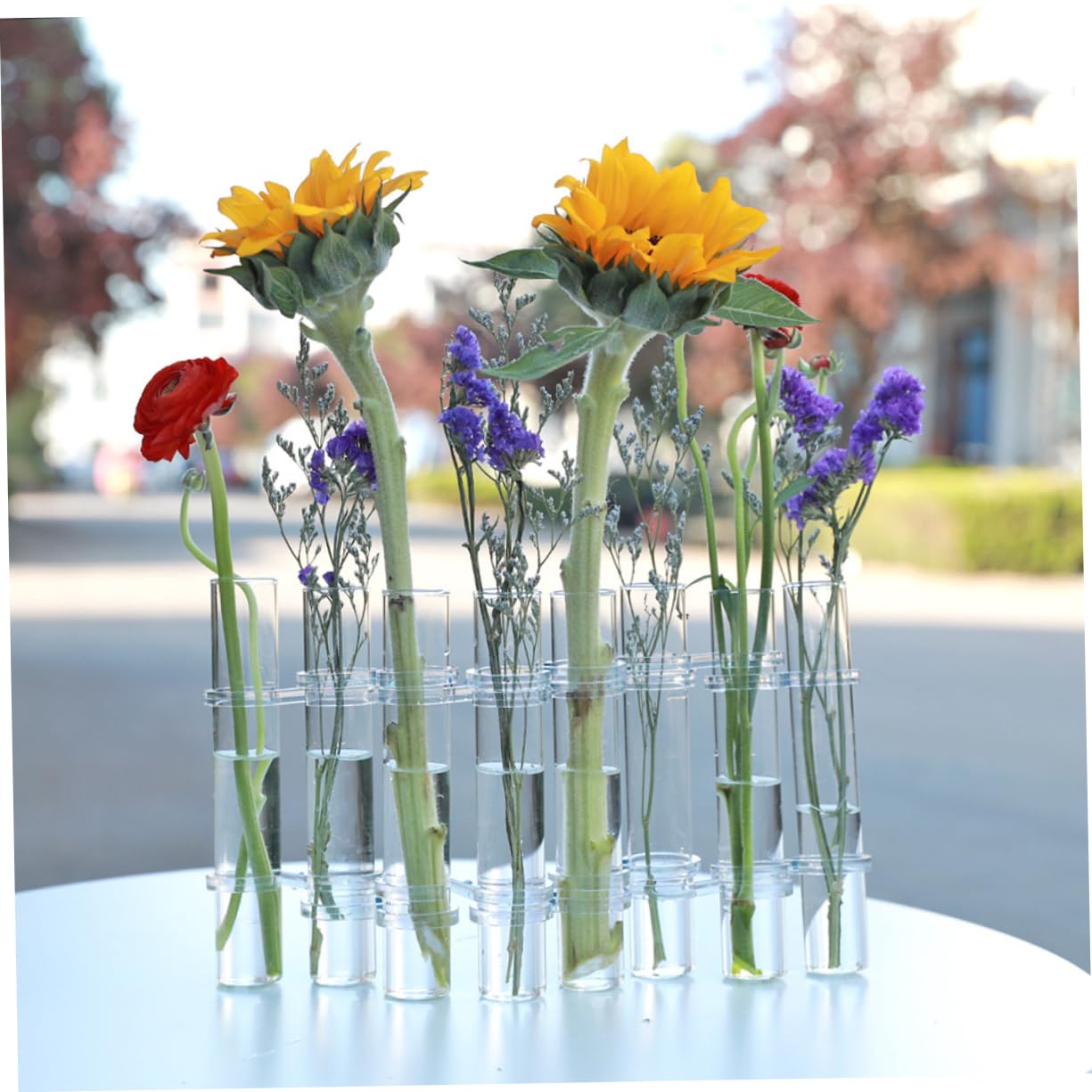 VICASKY Hydroponic Test Tube Vases 6-Piece Glass Plant Propagation Kit for Indoor Home Decor Wall Hanging Planter and Desktop Terrarium Arrangement