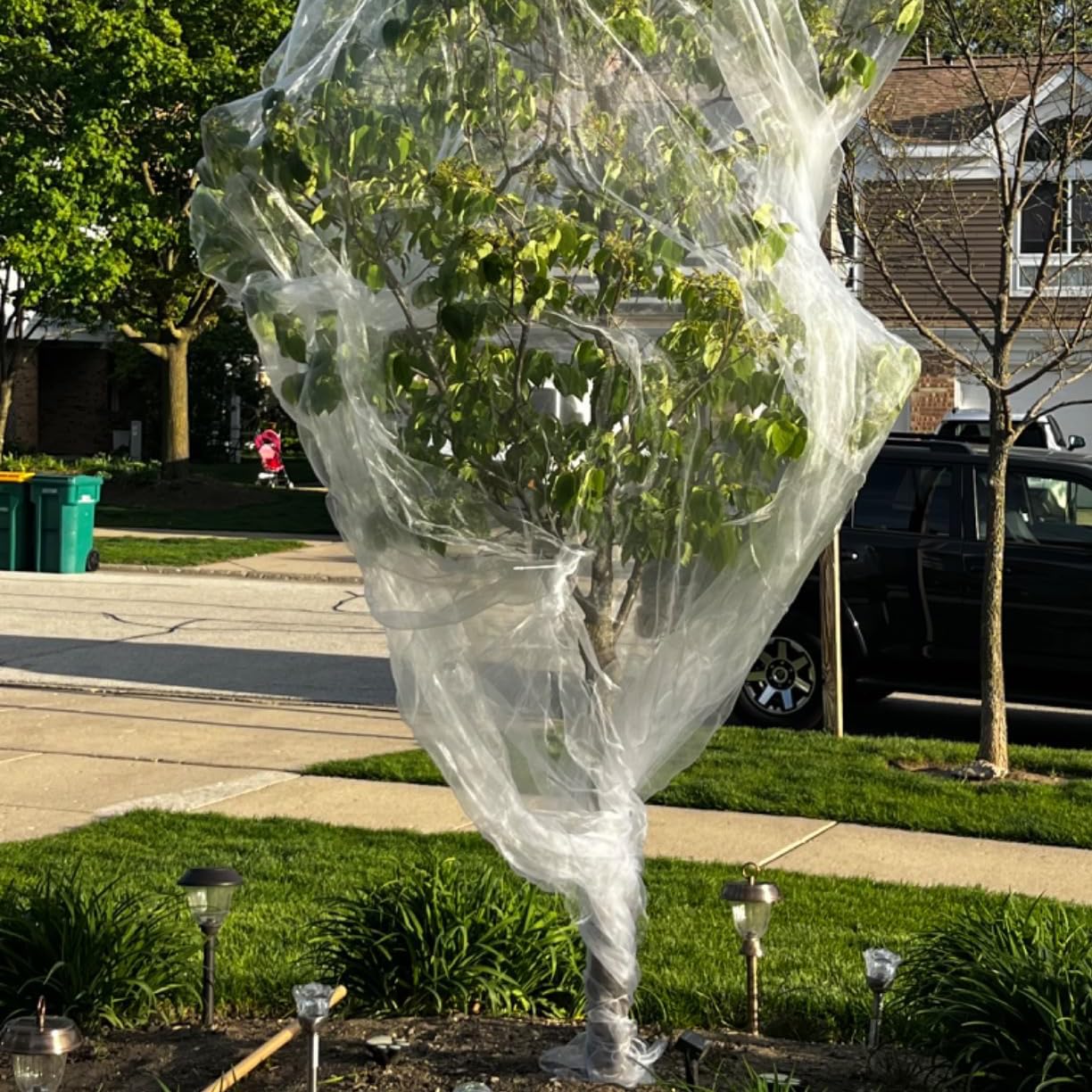 Vocray 10X10Ft Garden Netting Pest Barrier – Ultra Fine Mesh Netting Plant Covers & Row Cover, Protects Vegetables, Fruits, Flowers from Mosquitoes, Insects, Birds, Deer & Squirrels