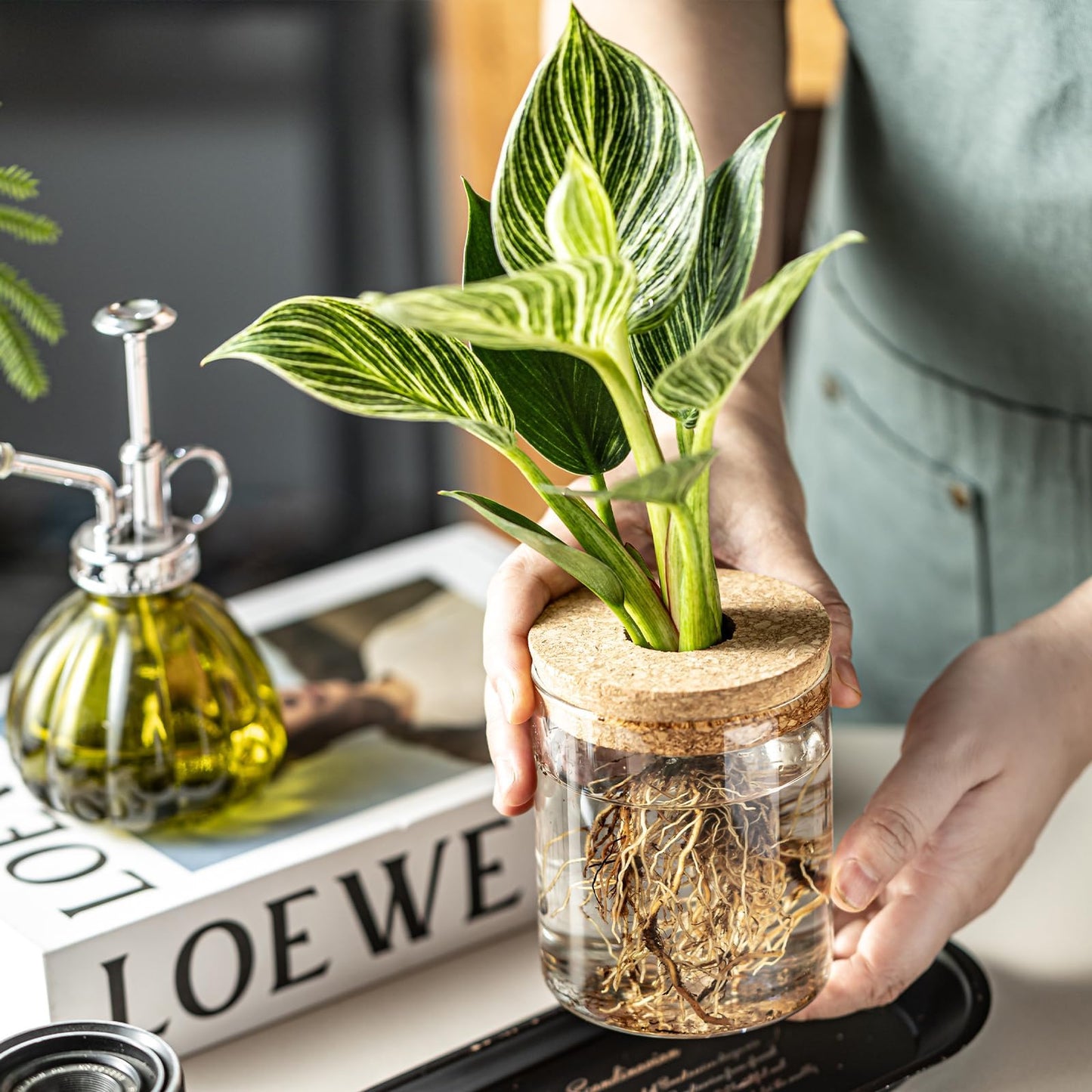 Plant Propagation Station,Hydroponic Glass Container Vase 2 Sizes Planter Propagated Jars for Desks, Houses, Garden Decorations,Home Kitchen Decorations and Gifts cu.20.5 (6pcs)