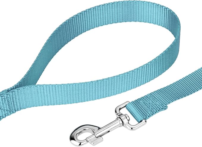 Country Brook Petz - Everyday Nylon Dog Collar and Leash - 10+ Cool Colors (3/8 Inch, 3XS, Ocean Blue)