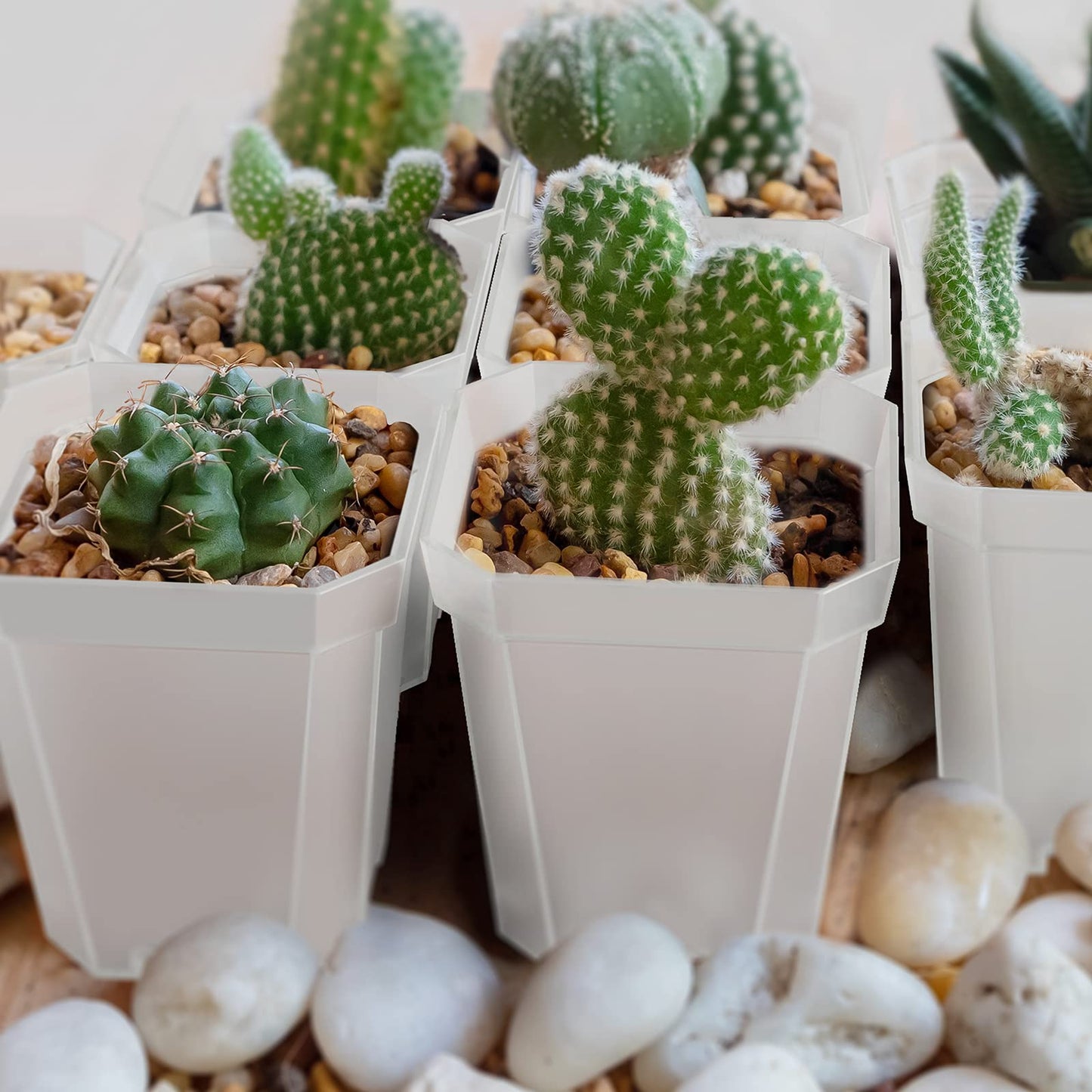 foxany 3" Clear Nursery Pots, 30 Pcs Thick Plastic Plant Pot, Square Flower Planting Pot, Seedling Planter Seed Starter Pots with Saucers