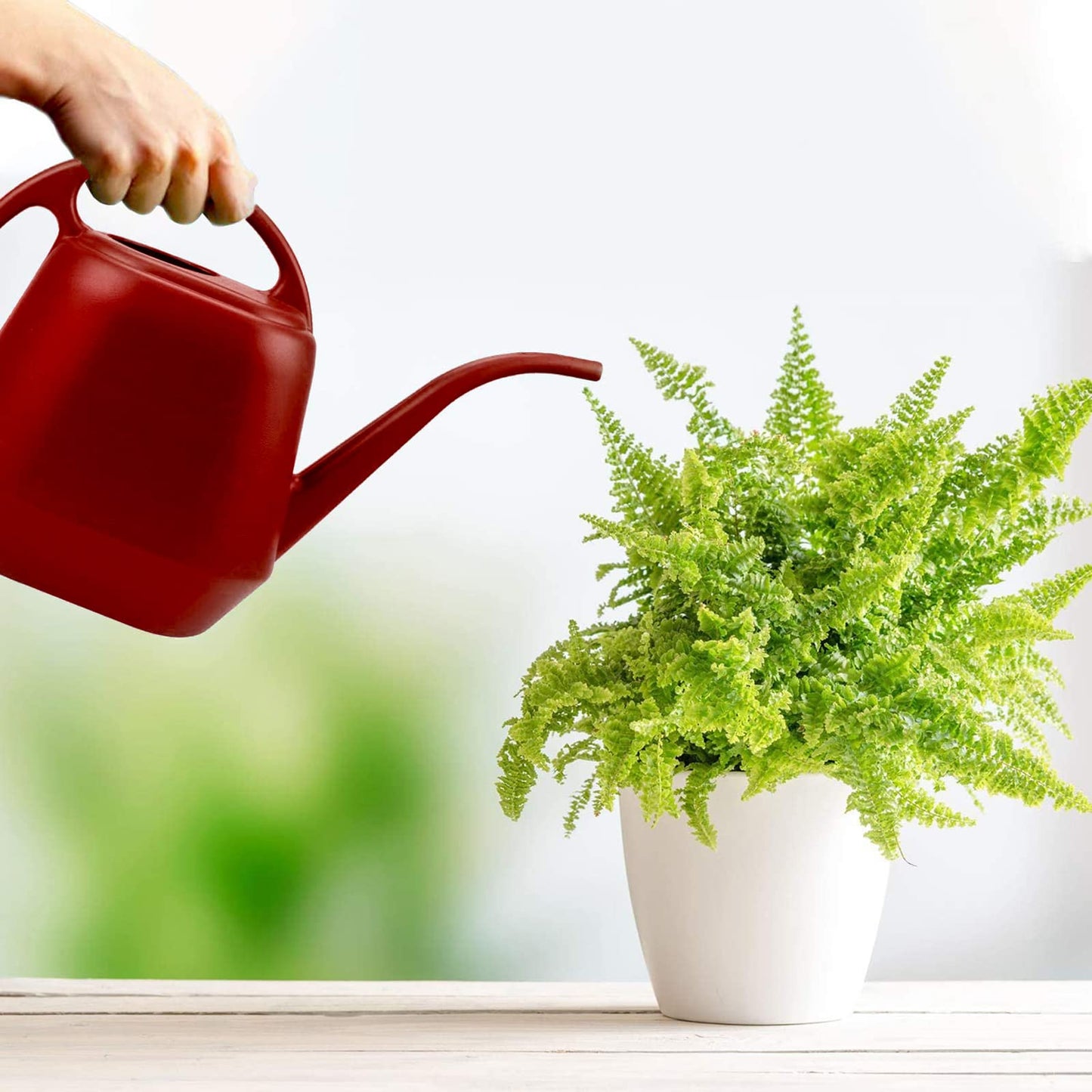 Fasmov Plastic Watering Can, Burnt Red, 1-Gallon