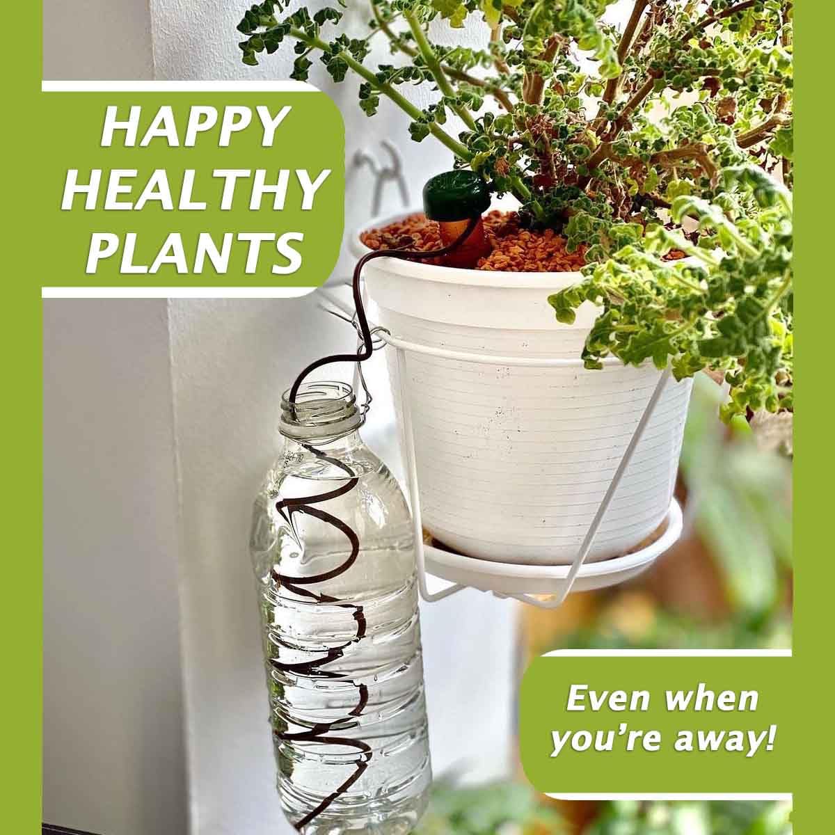 Blumat Classic Self-Watering Stakes - Prevents Overwatering and Underwatering for Healthy Growth While You are Away - Ideal for Indoor Plant Watering, 12 Pack, wo Adapter