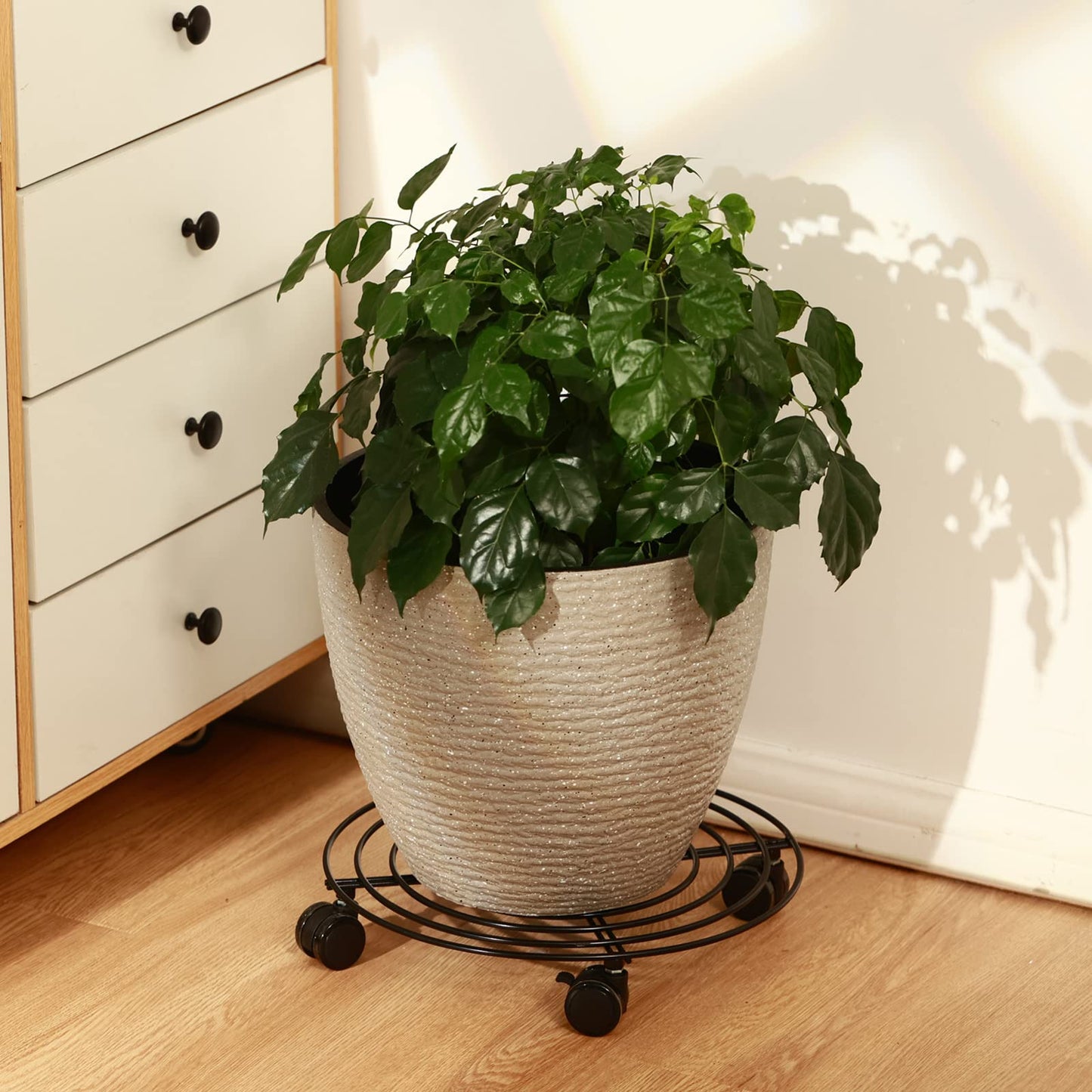 6 Packs 13 Inches Large Metal Plant Caddy with Wheels Rolling Plant Stands Heavy-duty Wrought Iron Plant Roller Base Pot Movers Plant Saucer on Wheels Indoor Outdoor Plant Dolly with Casters Planter Tray