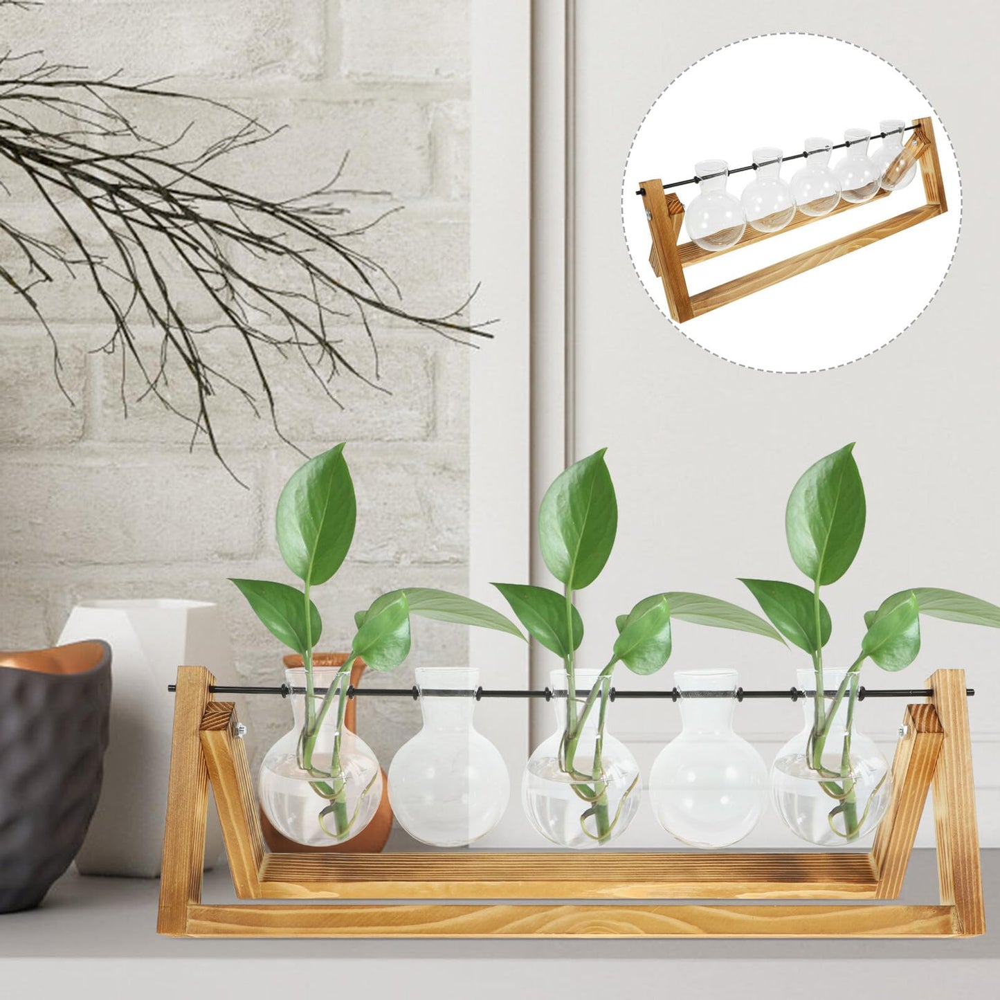 NUOBESTY Glass Plant Propagation Station Set with Metal Stand, 5 Glass Vases for Indoor Hydroponic Plants, Home Décor Terrarium Display for Desktop and Greenery Arrangement