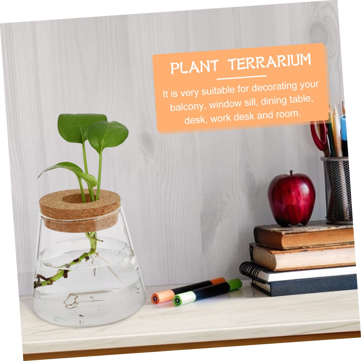 OUNONA 2Pcs Desktop Glass Hydroponic Chic Transparent Vases for Home Decor Stylish Terrarium for Indoor Plants for Office Garden Aesthetics