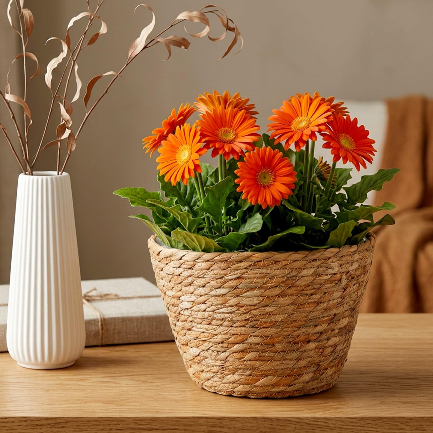 Leooomap 2 Pack Straw Woven Plant Basket with Plastic Liner, Natural Rattan Flower Pot Cover for Indoor Potted Plants, Farmhouse Boho Home Floor Decor - 9.04x9.04x6.48 Inches