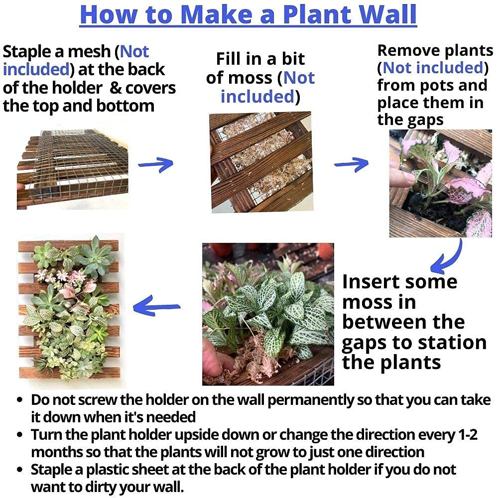 LalaGreen Bundle - 5" Pot + 2 Wooden Plant Holder, White Self Watering Pot, Wall Hanging Planters for Indoor and outdoor,Wall Mount Air Plants Succulent Holder Hanger,Vertical Garden Plant Stand Decor