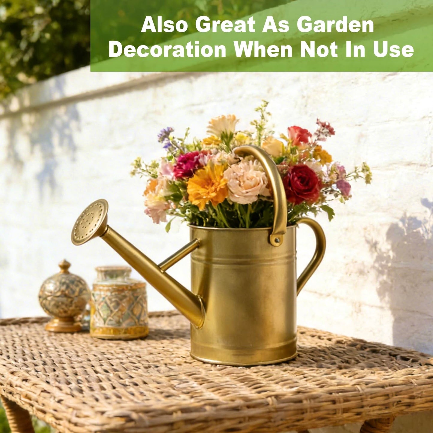Watering Can for Outdoor&Indoor Plants,1 Gallon Metal Watering Can with with Removable Spout,Galvanized Steel Garden Flower Water Can Plant Watering Pot with 2 Handles,Gold