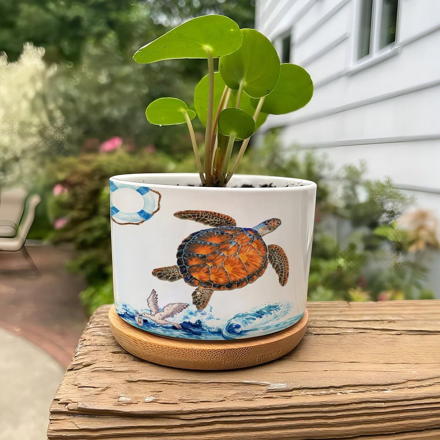 DreamAutumn Ocean Theme Sea Turtle Ceramic Pots for Plants with Drainage Holes Round Flower Pot Bamboo Tray Orchid Pot Succulents Pots for Outdoor Indoor Plants,Housewarming Gifts