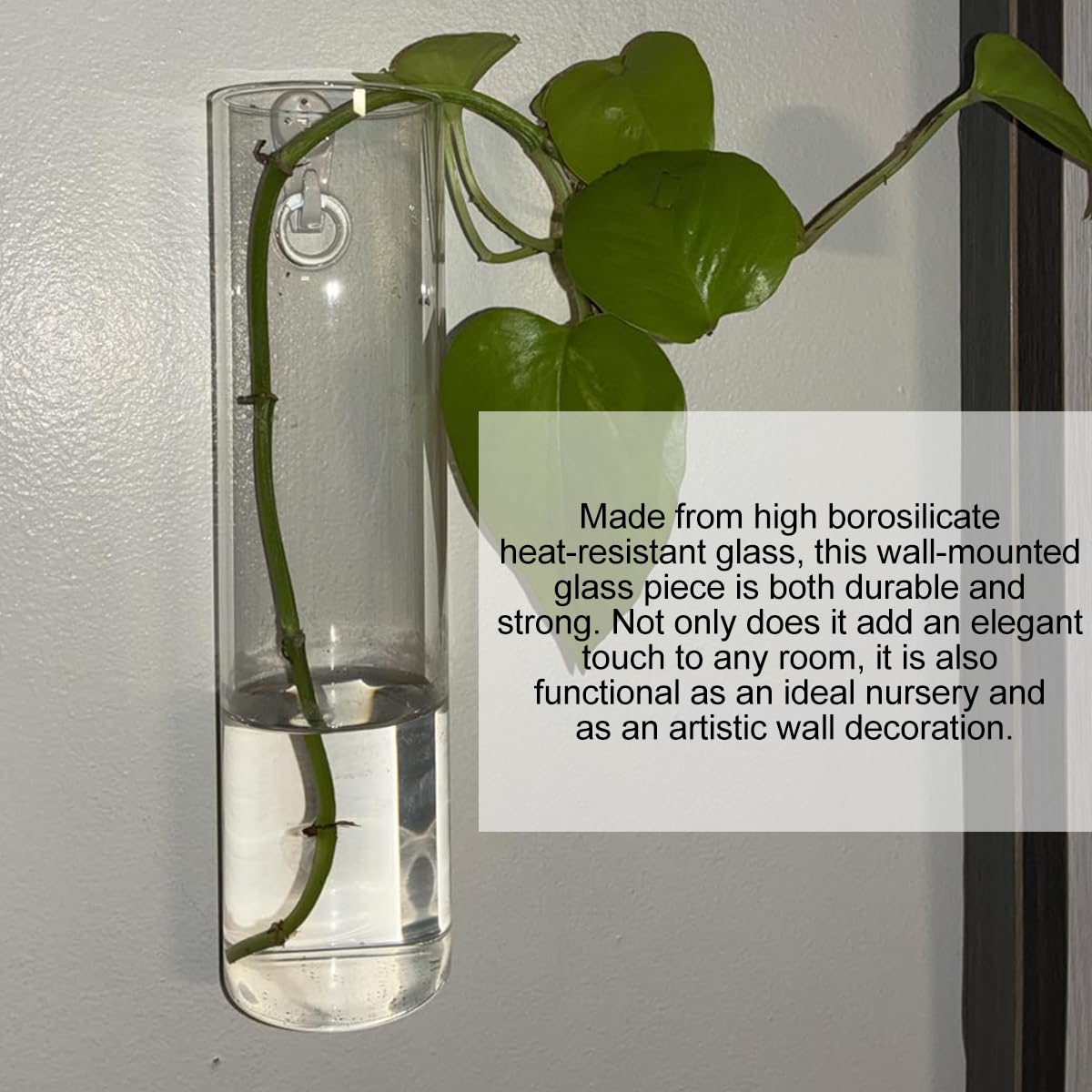 4 Pack Wall Hanging Glass Plant Holders with Hooks, Hanging Glass Vase Transparent Wall Mounted Propagation Station for Home Decor Dining Table, Cylinder Set