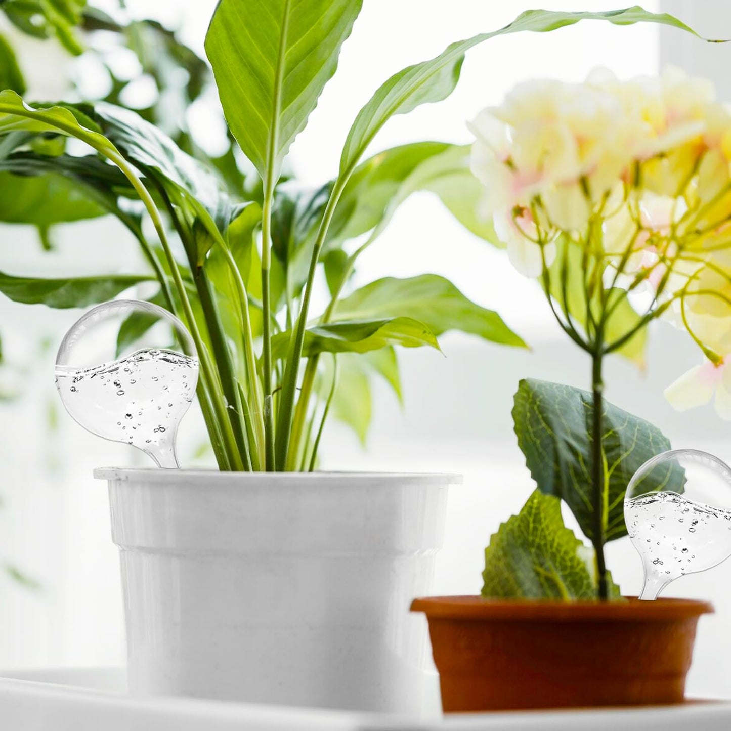 Jgalnim 20 PCS Clear Plant Watering Globes,Plastic Watering Bulbs,Self Watering Planter,Flower Automatic Watering Device for Plants Indoor,Outdoor,Flowerpot,Home Garden(Large,Medium,Small)