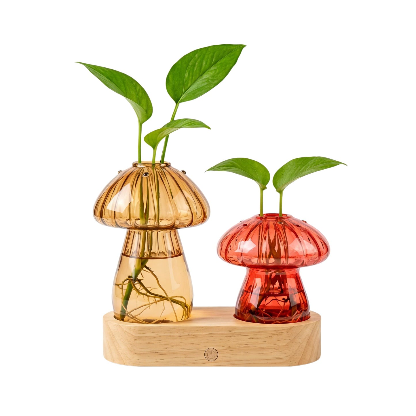 Propagation Vase with Light,Plant Propagation with Stepless Dimming Function for Home Office Night Decor,Led Hydroponic Plant Jars Valentines Day Gifts for Mom Women Plant Lovers