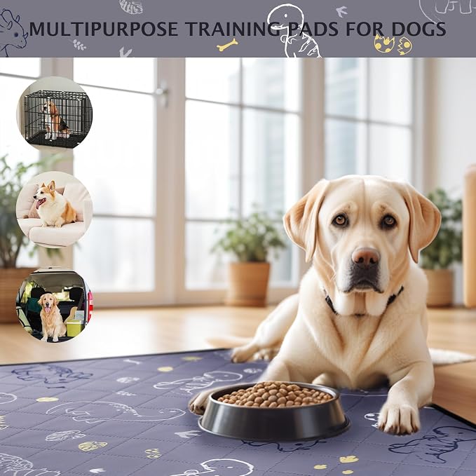 IEUUMLER Washable Pee Pads for Dogs, 2 Pack Non-Slip & Waterproof Whelping Pad, Reusable Puppy Potty Training With Fast Absorbent for Playpen EU007 (Gray Dinosaur, 30"X34"-2pcs)