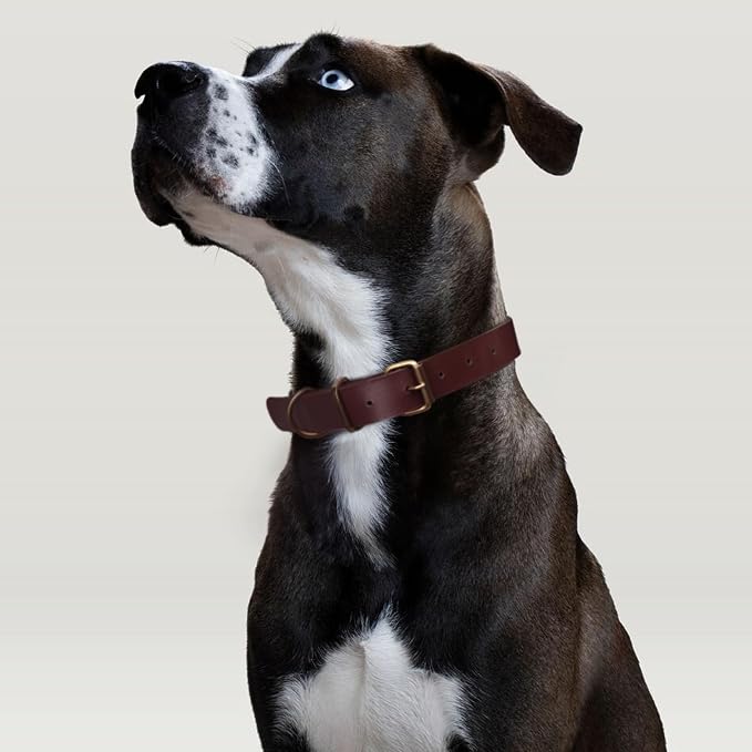 Heavy Duty Genuine Leather Dog Collar and Leash Set - 5ft Soft and Durable With Metal Buckle - Adjustable, Compatible for Small to Medium Dogs