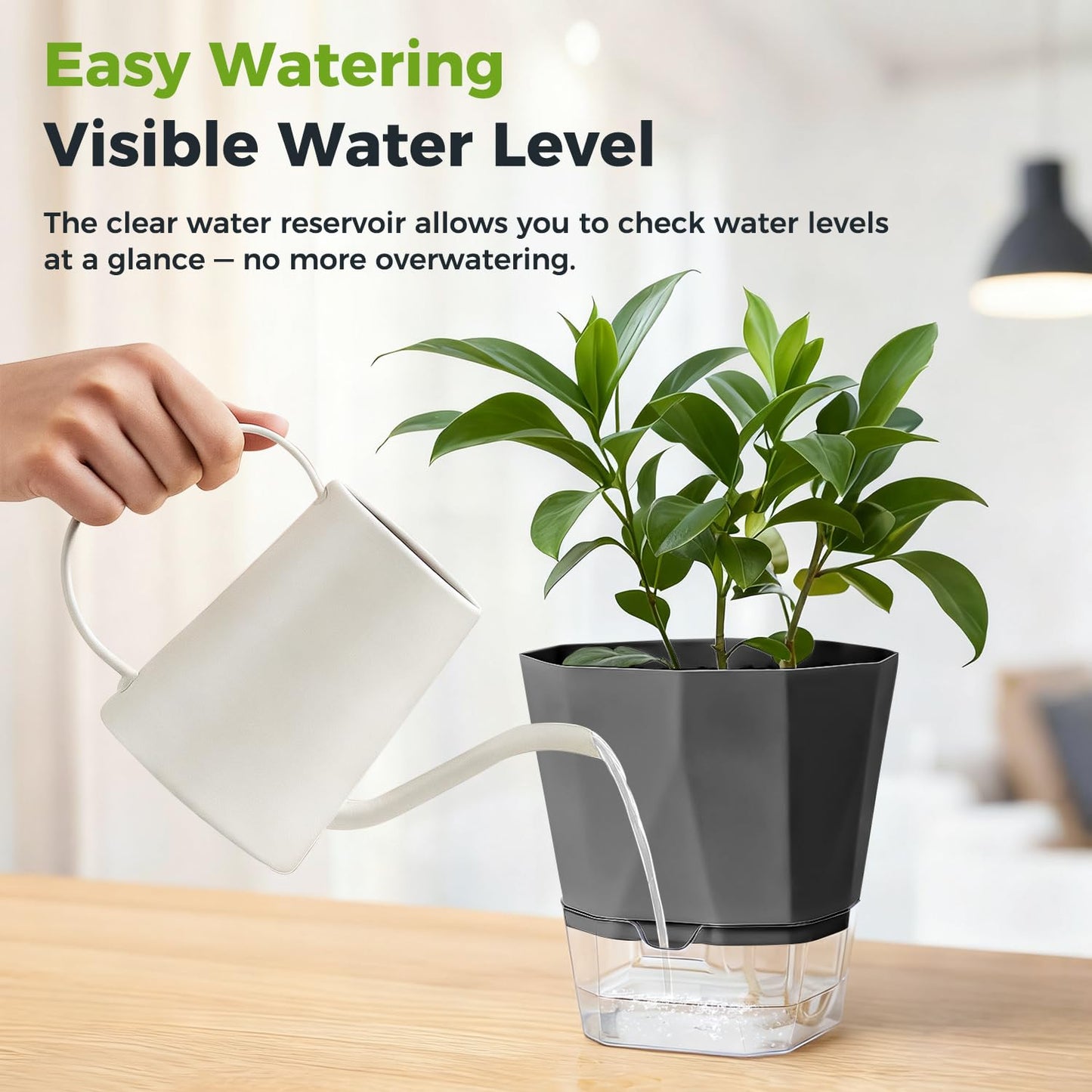 6 Pack Self Watering Pots for Indoor Plants, 5 Inches Self Watering Planters African Violet Self Watering Clear Pots for Plants Herb Orchid Flower Houseplant, Dark Grey