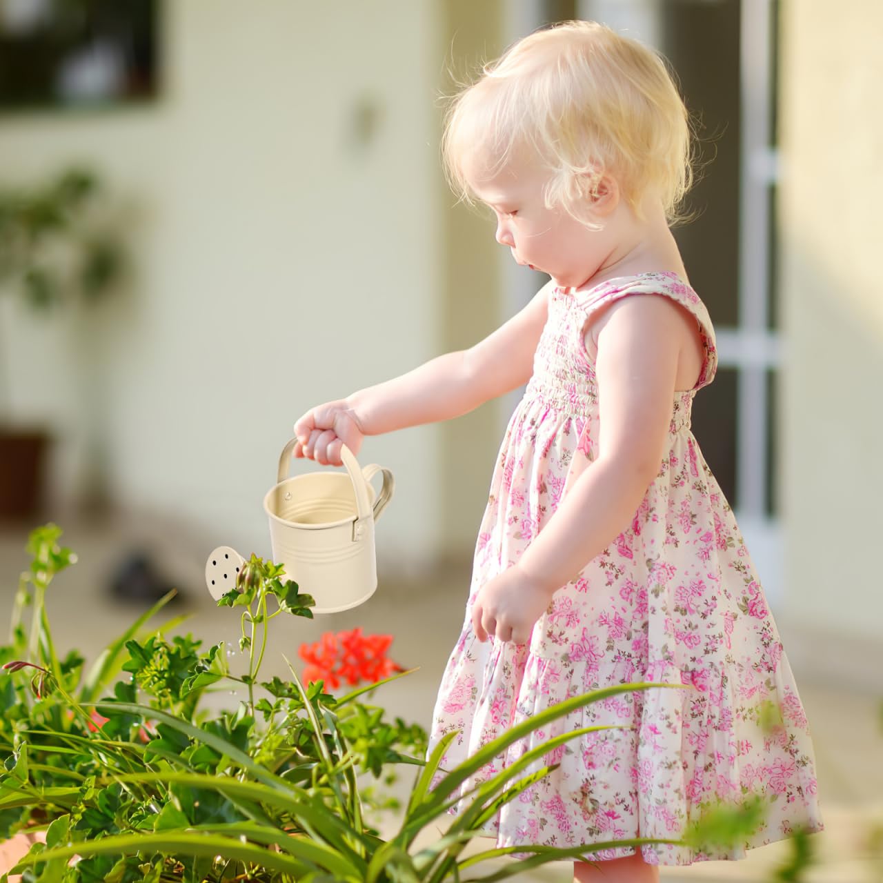 5PCS Mini Watering Cans Kids Metal Watering Can for Indoor Plants, Small Water Can Toddler Gardening Tool Beach Play, Multifunctional Cute Metal Jug for Craft, Home Decor Flower Bucket