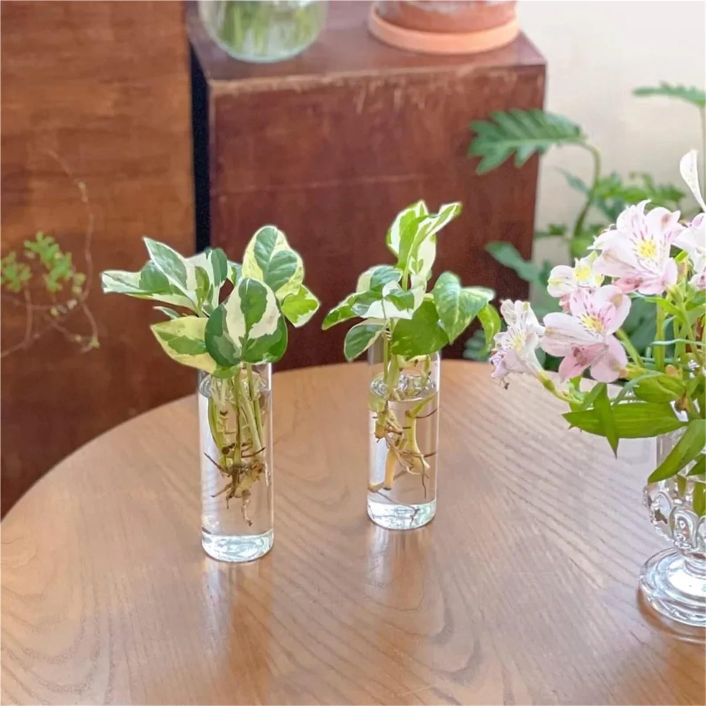 Glass Vase Vase 3Pack Wall Hanging Glass Planters Plant Terrarium Plants Holders Air with Plastic Invisible Traceless Hangers(3Pcs Small)