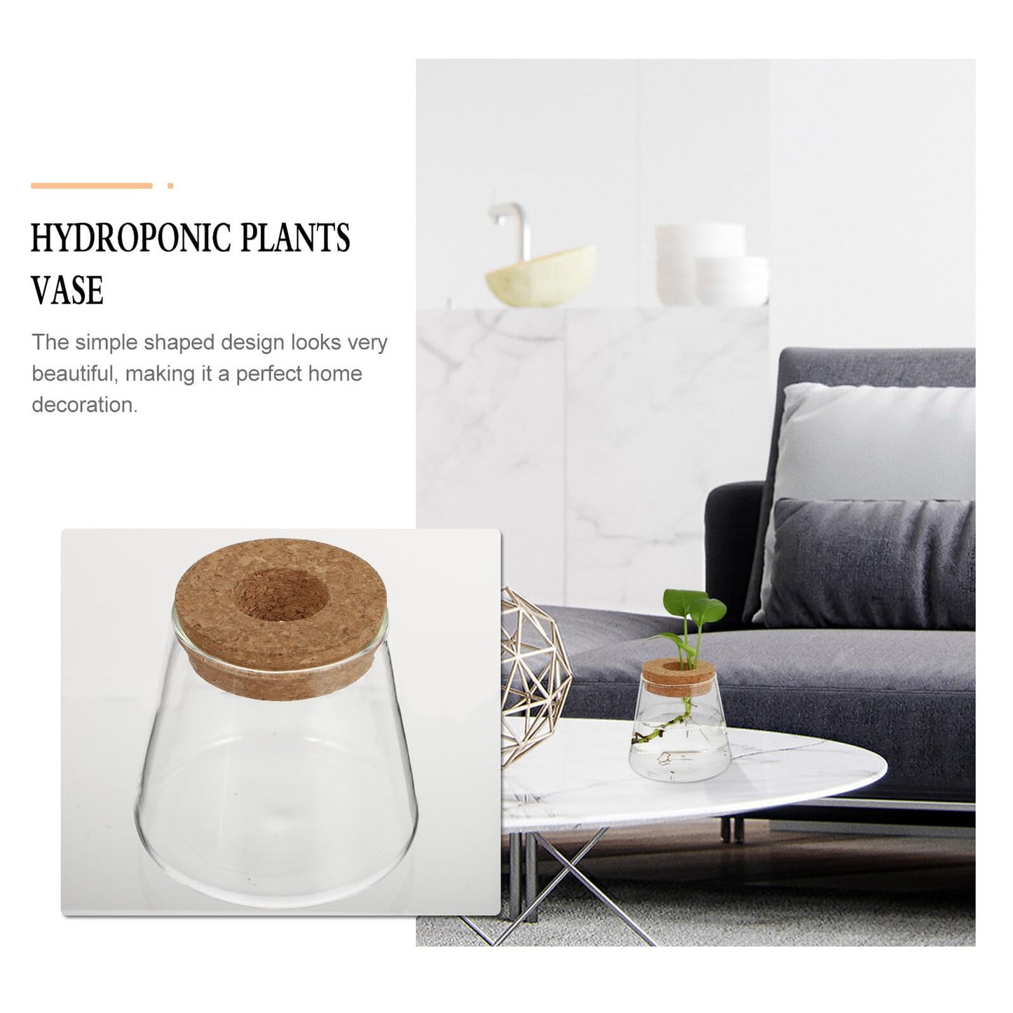 CONGARTENO 2pcs Glass Terrarium Vases for Hydroponics Plants, Small Glass Containers with 6.5cm Opening, Desktop Plant Holders for Office and Home Gardening