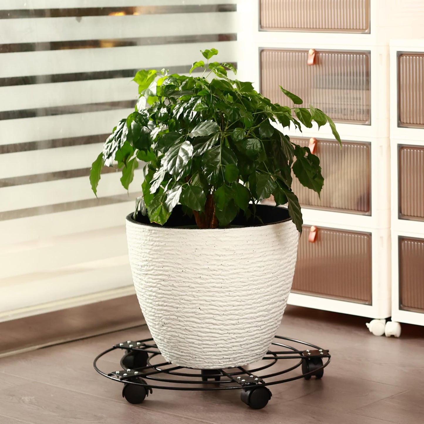 5 Packs 13.5" Large Metal Plant Caddy with Wheels Iron Rolling Plant Stands Heavy-duty Plant Roller Base Pot Movers Indoor Outdoor Plant Dolly with 5 Casters Plant Trolley Coaster Holder