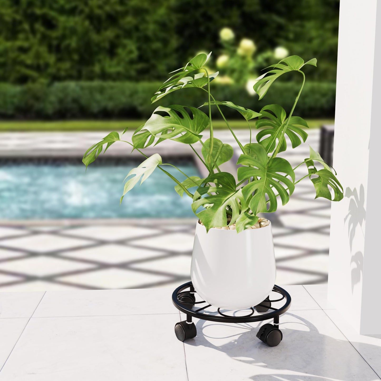 Chinpakden 2 Pack Rolling Plant Stands with Wheels - 10.24" Plant Caddy, 360 °Rotatable and Lockable Plant Rollers, 80LB Weight Capacity, Plant Tray with Casters for Indoor Outdoor Wine Cellar.