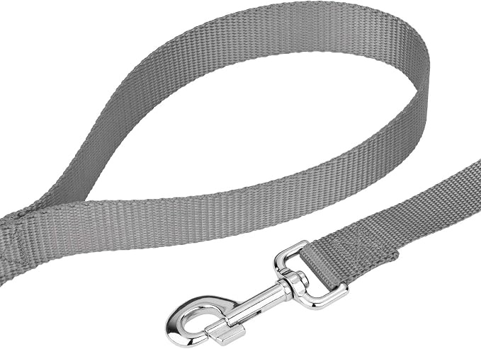 Country Brook Petz - Everyday Nylon Dog Collar and Leash - 10+ Cool Colors (1 Inch, Extra Large, Silver)