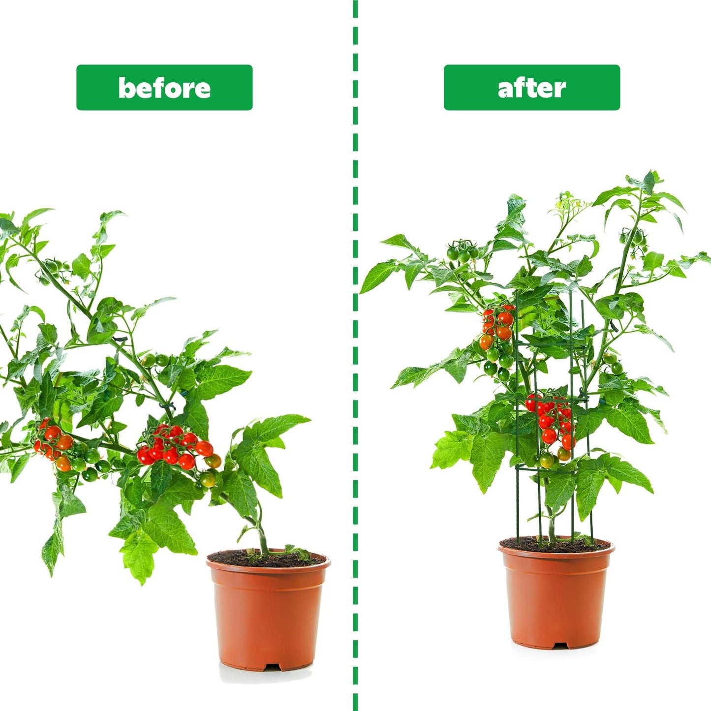10 Packs Tomato Cages for Garden Support Up to 48" Tomato Plant Stakes Support with Adjustable Snap Arms Clips Plastic Coated Alloy for Outdoor Beans Potted Climbing Plant Supplies(Green)