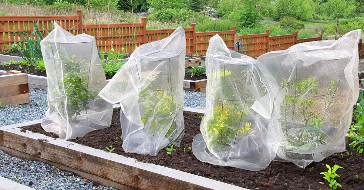 6 Pack Garden Netting for Plants 2.6x3.3ft - 3.3x4.9ft Mesh Fruit Tree Blueberry Pest Barrier Bug Netting with Drawstring 2-Size Insect Bird Netting for Tomato Vegetable Net
