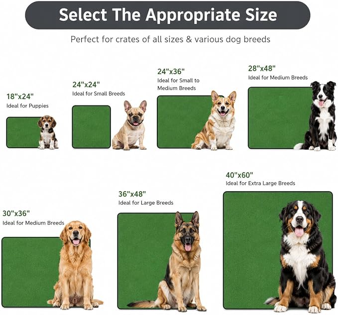 2 Pack Washable Pee Pads for Dogs 36"x45", Reusable Training Puppypads Absorbency Non-Slip & Leak-Proof for Pet Whelping Box Playpen Crate Sofa Bed Floors (Green)