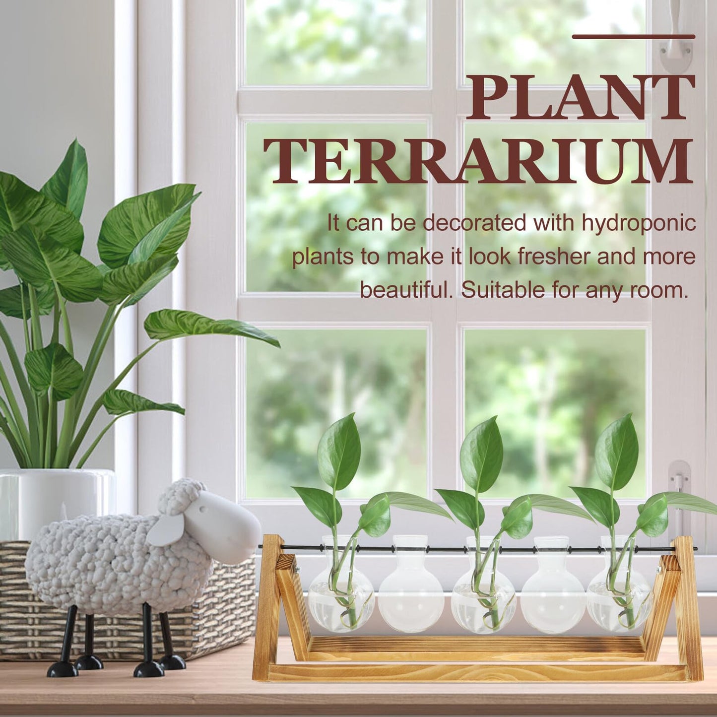 HAKIDZEL Hydroponic Glass Plant Propagation Bottles Set with Wooden Stand, Small Glass Vases for Flowers and Terrarium Planter Home Décor, Desktop Water Propagation Station for Indoor