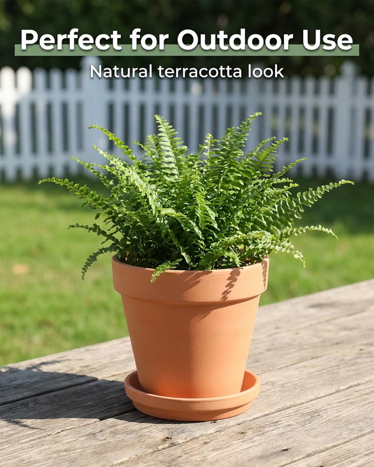 Riseuvo 6 Inch Terracotta Pots with Saucers – 4 Pack Medium Clay Flower Pots with Drainage Hole,Clay Pot for Succulents, Cactus and Indoor Plants, Wedding Favors