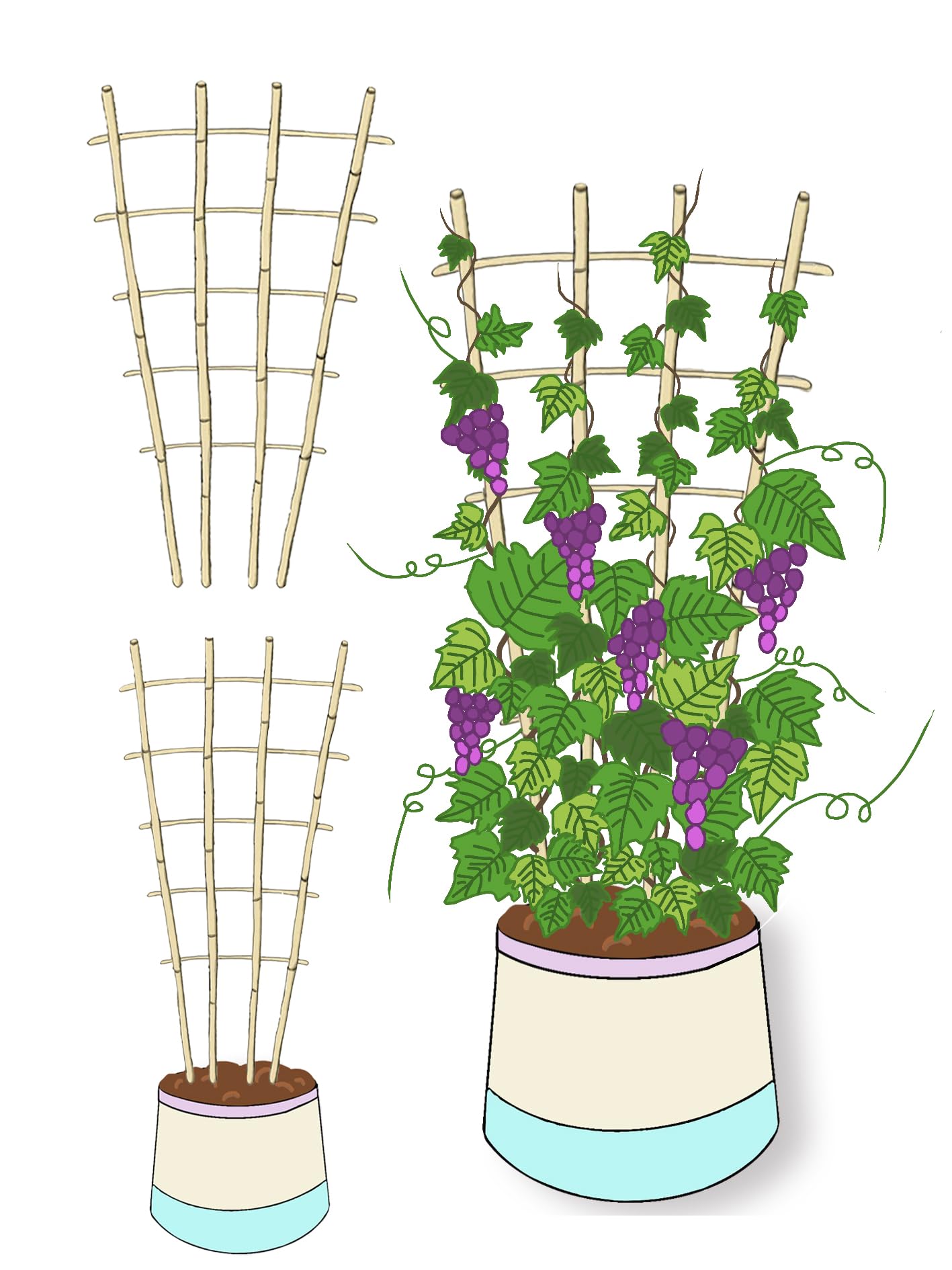 Natural Bamboo Trellis, 4Feet,3Pack,Fan-Shaped Plant Support Trellis for Outdoor and Indoor Potted Climbing Plants,Vegetables, Cucumber, Tomato, Hoya,