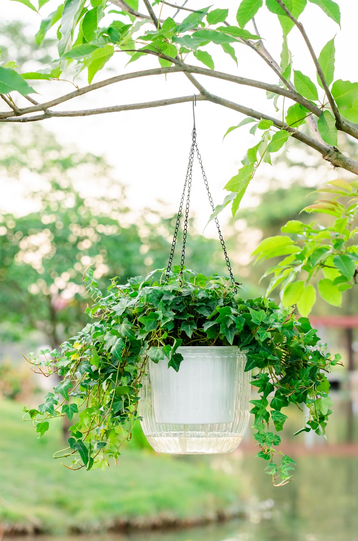 Melphoe 1 Pack Self Watering Hanging Planters Indoor Flower Pots, 8.3 Inch Outdoor Hanging Plant Pot Basket, Plant Hanger with 3Hooks Drainage Holes for Garden Home
