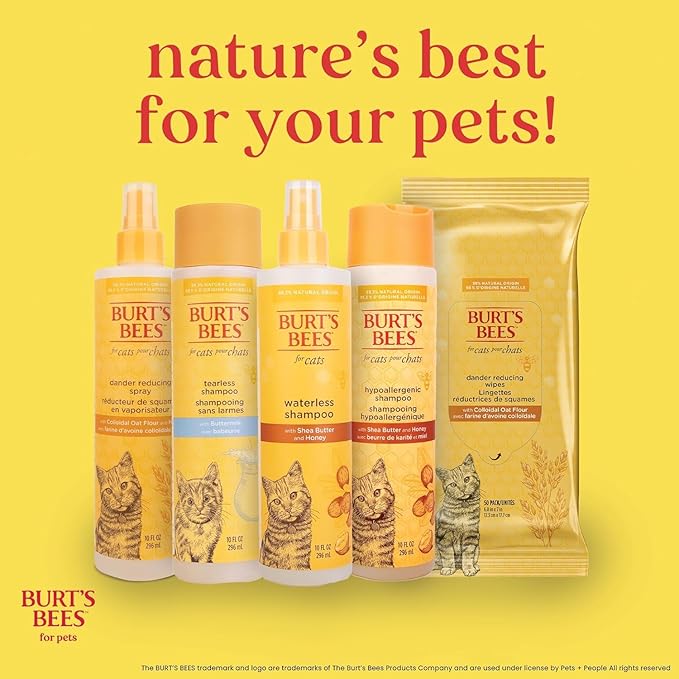 BURT'S BEES FOR PETS Hypoallergenic Cat Shampoo with Shea Butter and Honey, Gentle Formula for Indoor Cats with Dry or Sensitive Skin, pH Balanced, Fragrance-Free, 10 Fl Oz - 2 Pack