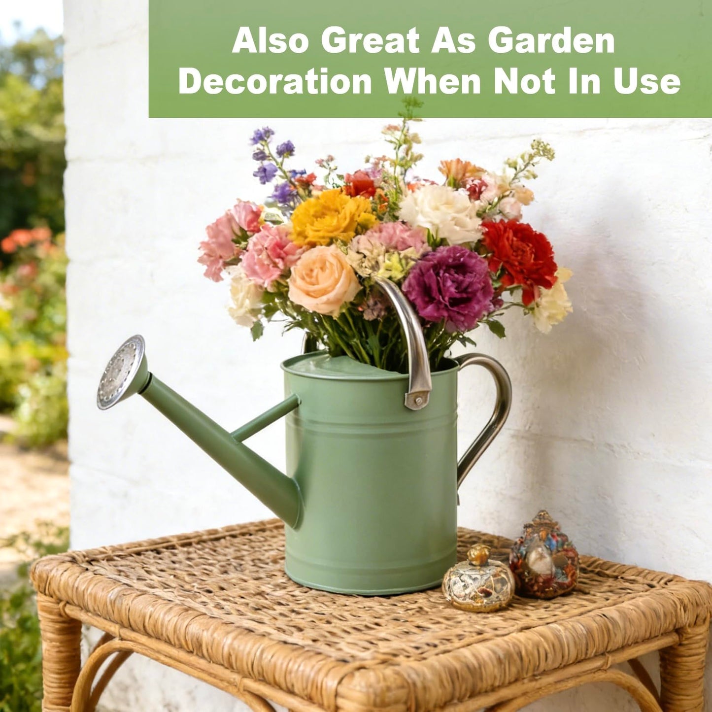 Watering Can for Outdoor&Indoor Plants,1 Gallon Metal Watering Can with with Removable Spout,Galvanized Steel Garden Flower Water Can Plant Watering Pot with 2 Stainless Steel Handles,Cream Green