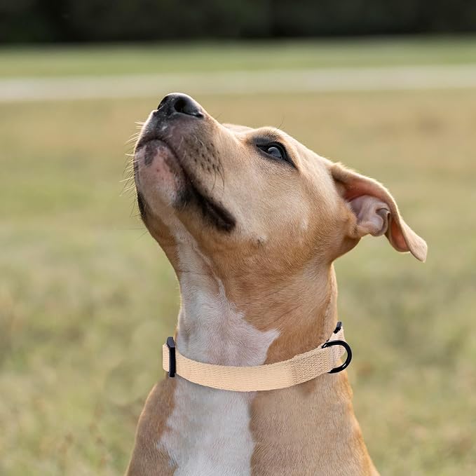 Mile High Life Soft & Strong Poly Cotton Adjustable Dog Collar with Quick Release Buckle for Small to Large Dogs(Khaki, Large Neck 15"-19")
