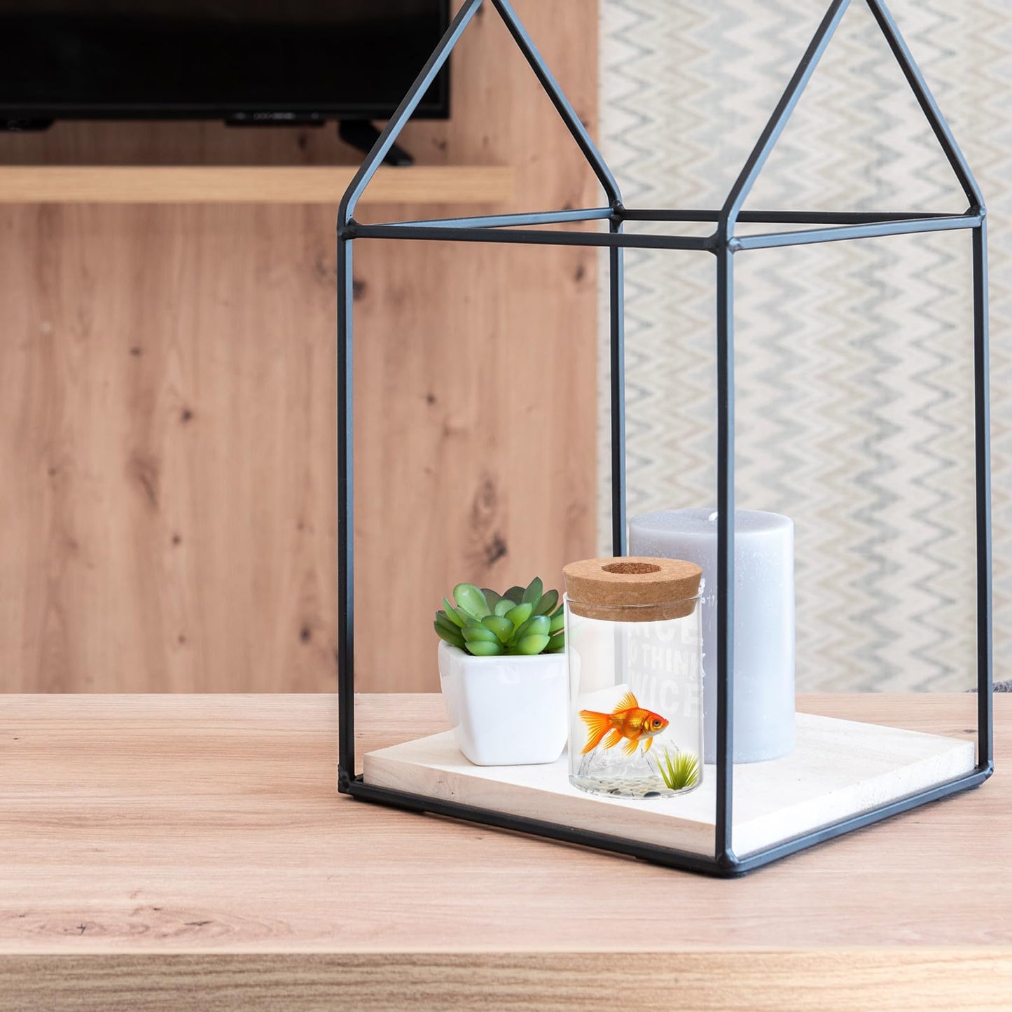 BESPORTBLE Glass Plant Holder Vase for Flower Arrangement, Glass Hydroponic Container for Office Desktop Plants, Succulent Floral Holder Terrarium Bottle
