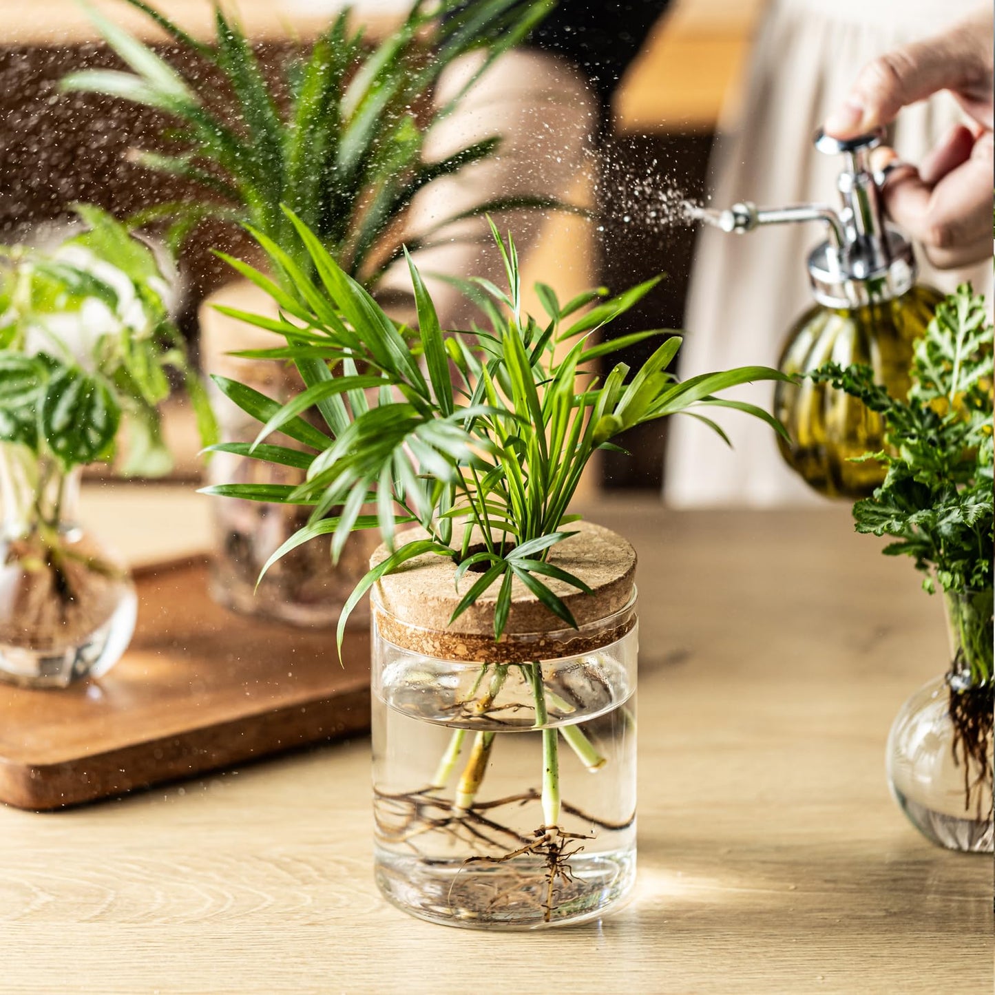 Plant Propagation Stations, 2 Style Glass Planter Terrariums, Propagation Vases for Plant, Plant Propagation Jars for Hydroponic Planter Home Office Tabletop Decoration (4)