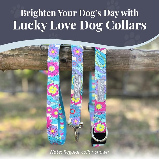 Lucky Love Dog Martingale Dog Collar - Adjustable, No-Slip, Durable, & Soft Webbing Collar for Male and Female Dogs Ideal for Training & Walking - Caroline, Small