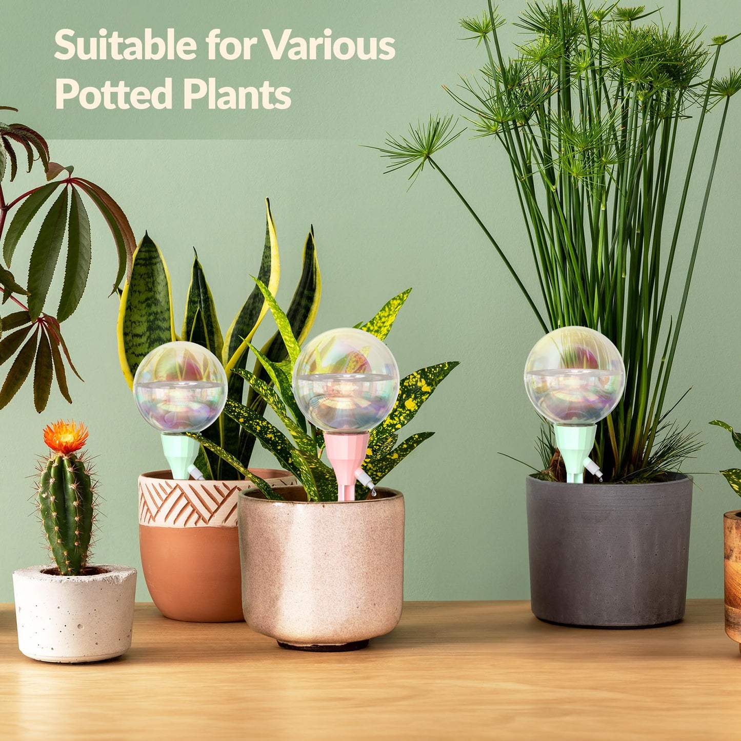NiHome 2PCS 16OZ Plant Self-Watering Drippers with Adjustable Flow Control, Long-Lasting Automatic Watering Globes for Indoor Outdoor Plants, Tulip Shape Design for Small to Medium Pots (Pink + Green)