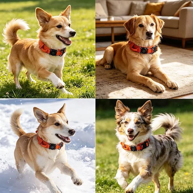 Upgraded AirTag Dog Collar,Waterproof Tactical Dog Collar with AirTag Holder, Control Handle and Metal Buckle,Heavy Duty Dog Collars for Large Dogs(Orange,L