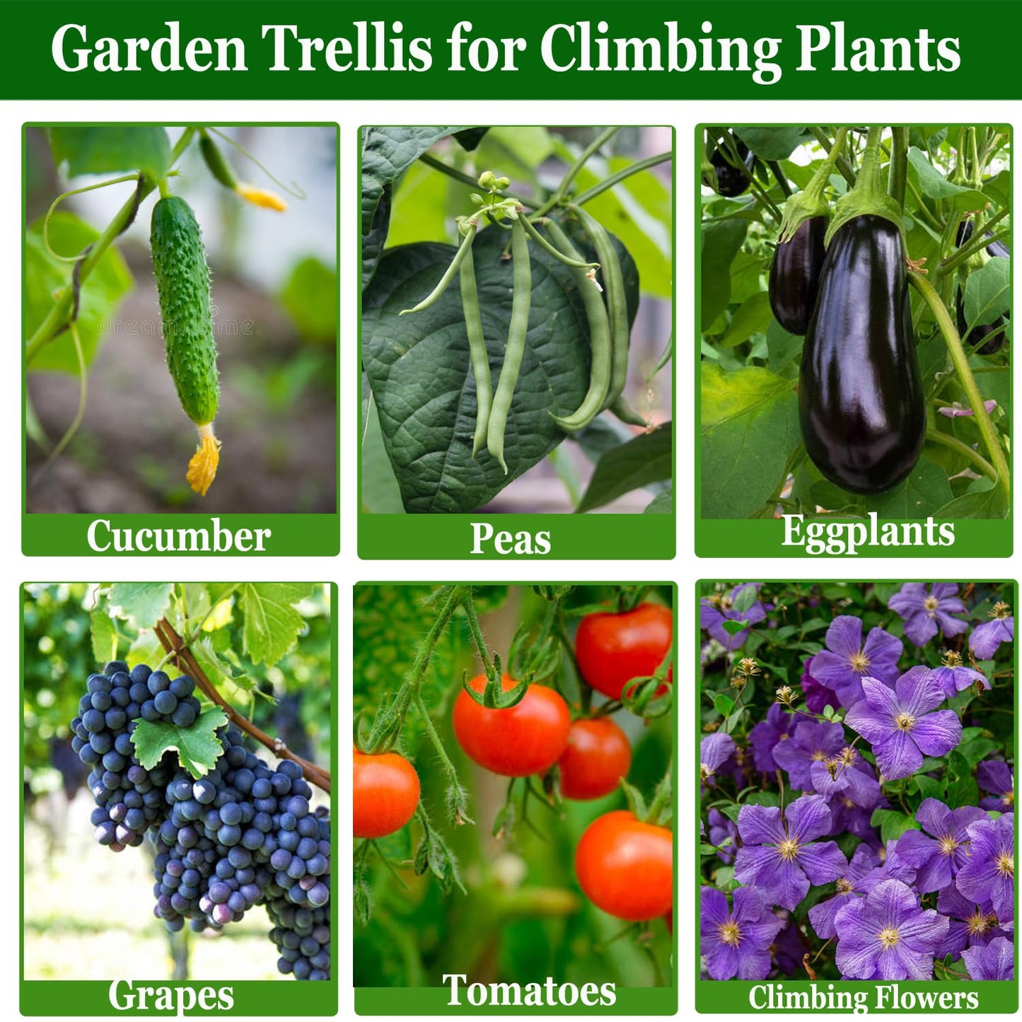 Garden Arch Trellis for Climbing Plants Outdoor, Garden Arch for Climbing Vine Vegetable/Fruit/Flower, Cucumber Trellis for Raised Bed (Green, 15.7" W x 48" H)