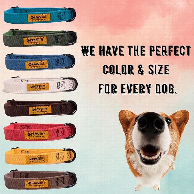 Pawsitive Teal Dog Collar Hemp Dog Collar - Super Soft Hypoallergenic Lining. Great for Small, Medium and Large Dogs; Medium Emerald Green