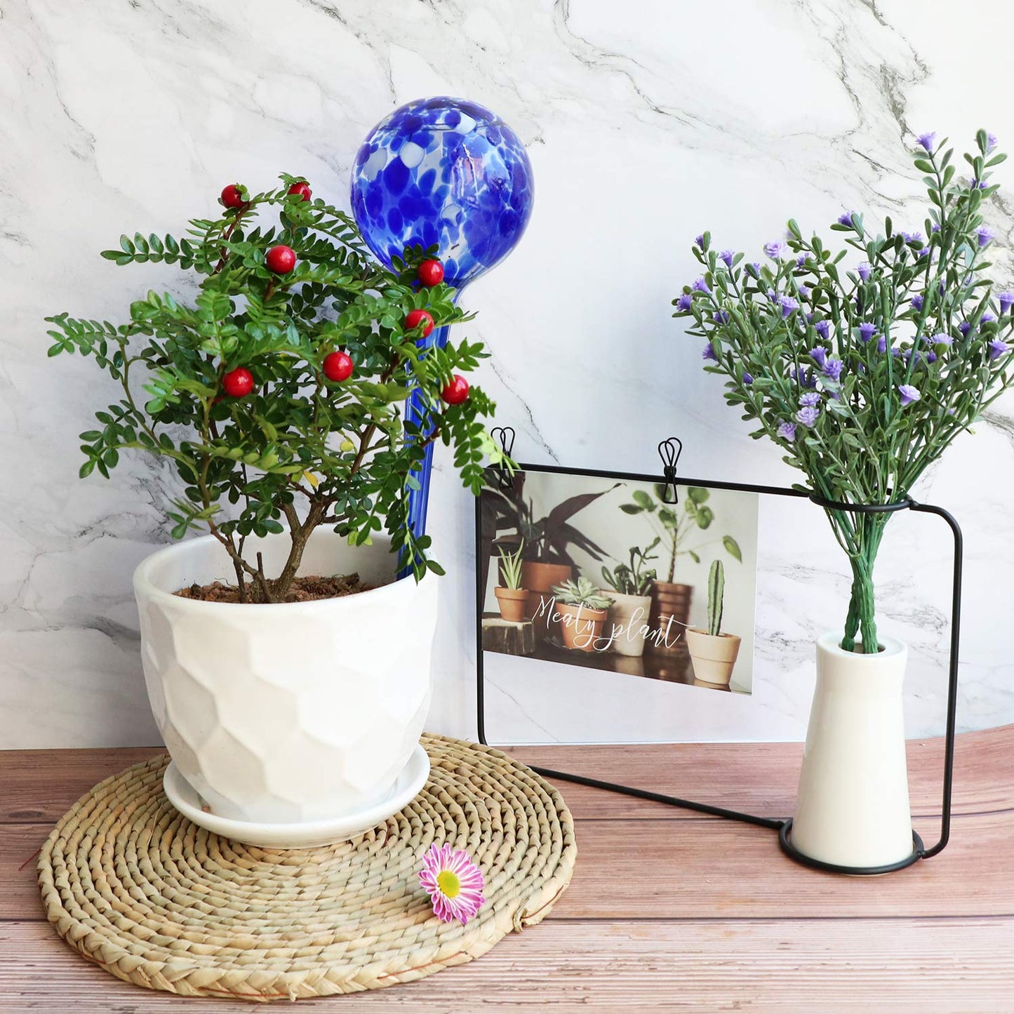 Brajttt Plant Watering Globes Automatic Glass Watering Bulbs, Glass Ball Planter, Decorative Garden Watering Plant Watering Bulbs with 2-Pack, 3.35 inch Diameter
