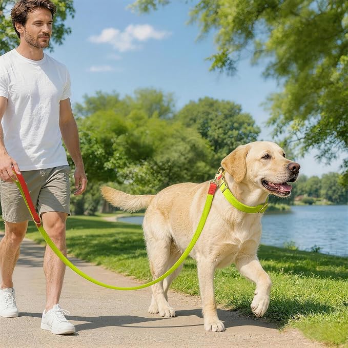 Dog Collar and Leash Set with Metal Quick Release Buckle, Adjustable, Breathable Nylon, Durable, Soft and Comfortable, No Pull for Walking and Training, Fluorescent Yellow, L (14.9"-22.8")