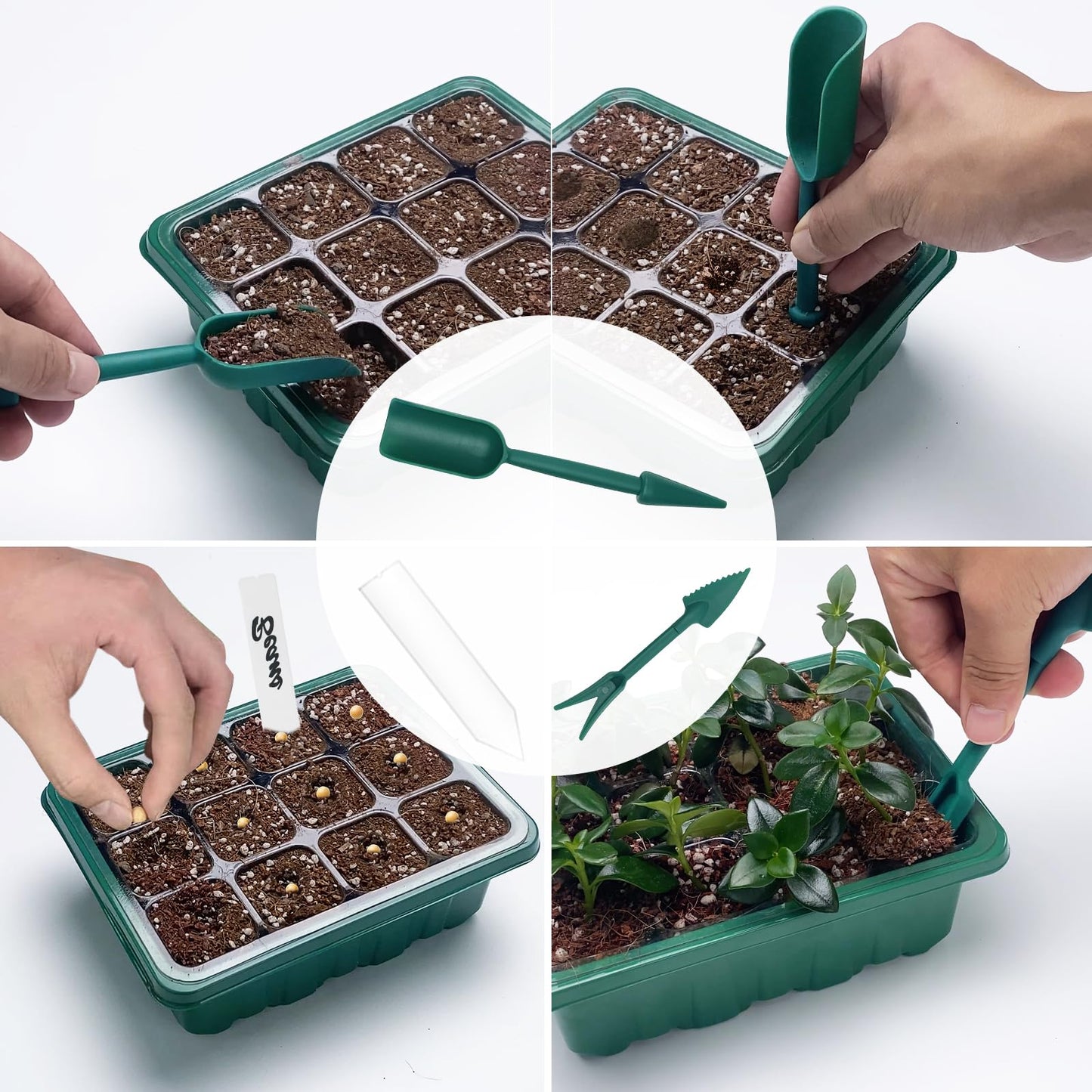 Qoolife Seed Starter Tray with Plant Light, 4 Pack Grow Lights for Seed Starting Kit with Humidity Domes, Timing Controller Adjustable Brightness for Greenhouse Propagator Station Planting Growing